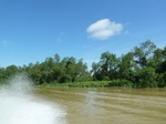 54588Bulungan (67).JPG