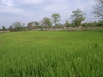 21420RIMG0272.JPG