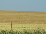 29909CIMG1479.JPG