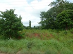 20792P1020651.JPG