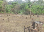 48746CIMG5083.JPG