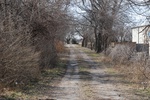 10161Field Survey 1 045.JPG