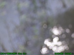 6142007-08-05_10-32-58_tag.jpg