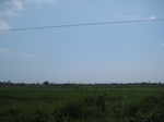 14115IMG_4449.JPG