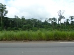 20255P1020110.JPG
