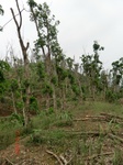 53559CIMG6910.JPG