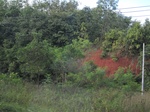 33667IMG_5865.JPG