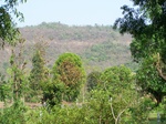 504920042008(92).JPG