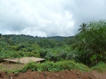 20567P1020424.JPG