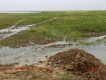 38932CIMG4836.gps.jpg