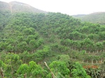 53370CIMG6667.JPG