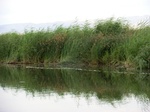 38611CIMG0143.JPG
