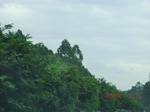 34734CIMG2562.JPG