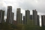 2024-08-05_16-36-16_3D4DCD9E-22F2-4A97-8B54-B306AD4557F7.jpeg