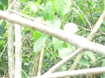 48755CIMG5092.JPG