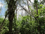 29550IMG_5163.JPG