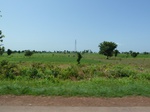 19520P1010367.JPG