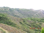 36186CIMG3260.JPG