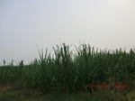 32818CIMG1950.JPG