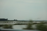 2024-08-05_15-57-48_798868E0-843D-4399-820F-D5B6CA8F9A8C.jpeg