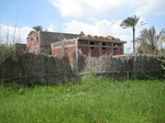 34685Egypt 003.jpg
