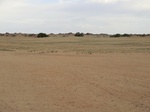 38500CIMG0342.JPG