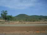 8867nigeria 078.jpg