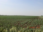 29734CIMG1049.JPG