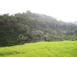 14676IMG_5057.JPG