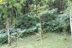 2024-11-21_16-04-22_4F06B08E-E778-46FA-8895-3C86835B4750.jpeg