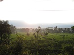 14617IMG_4992.JPG