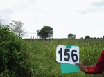125750156b-irrigated-supplemental-groundwater-millet-dominant-sugarcane-sorghum.gif