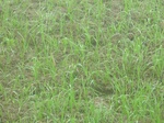 40300CIMG9043.JPG