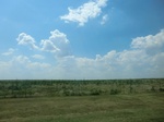 55536CIMG2127.JPG