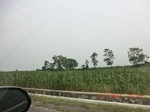 32694CIMG1825.JPG