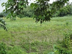 22132DSC00374.JPG
