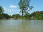 54710Bulungan (206).JPG