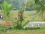 30899CIMG0754.JPG