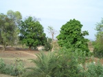 17468100_2157.JPG