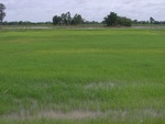 33390RIMG0130.JPG