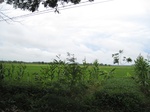 15747IMG_4835.JPG