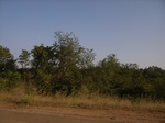 9007RIMG0083.JPG