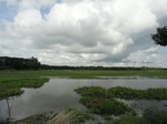 22156DSC00400.JPG