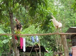 32090IMG_5588.JPG