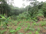 45773CIMG2858.JPG