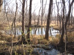 8627IMG_1252.JPG