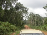47677CIMG4014.JPG