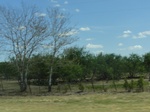 35121DSC02326.JPG
