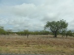35856DSC02623.JPG