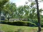 52035CIMG1108.JPG